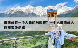 去西藏有一个人去的吗现在？一个人去西藏大概需要多少钱