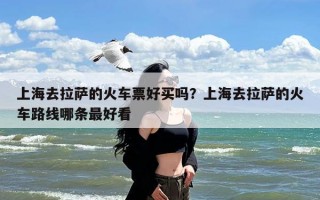 上海去拉萨的火车票好买吗？上海去拉萨的火车路线哪条最好看