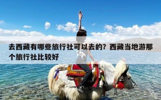 去西藏有哪些旅行社可以去的？西藏当地游那个旅行社比较好