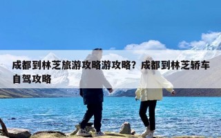 成都到林芝旅游攻略游攻略？成都到林芝轿车自驾攻略