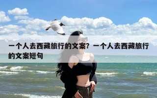 一个人去西藏旅行的文案？一个人去西藏旅行的文案短句