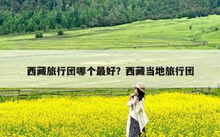 西藏旅行团哪个最好？西藏当地旅行团