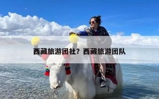 西藏旅游团社？西藏旅游团队