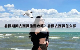 暑假期间去西藏旅游攻略？暑假去西藏怎么样