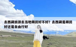 去西藏旅游去当地跟团好不好？去西藏是跟团好还是自由行好