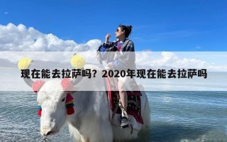 现在能去拉萨吗？2020年现在能去拉萨吗