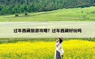 过年西藏旅游攻略？过年西藏好玩吗