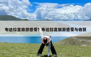 布达拉宫旅游感受？布达拉宫旅游感受与收获