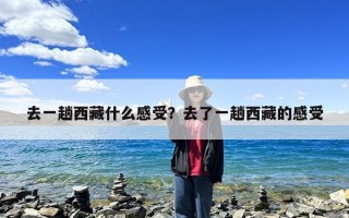 去一趟西藏什么感受？去了一趟西藏的感受