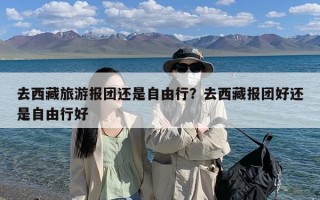 去西藏旅游报团还是自由行？去西藏报团好还是自由行好