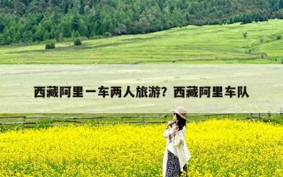 西藏阿里一车两人旅游？西藏阿里车队