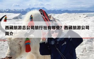 西藏旅游总公司旅行社有哪些？西藏旅游公司简介