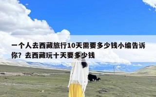 一个人去西藏旅行10天需要多少钱小编告诉你？去西藏玩十天要多少钱