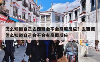 怎么知道自己去西藏会不会高原反应？去西藏怎么知道自己会不会有高原反应