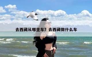 去西藏从哪坐车？去西藏做什么车