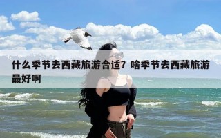 什么季节去西藏旅游合适？啥季节去西藏旅游最好啊