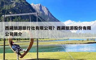 西藏旅游旅行社有限公司？西藏旅游股份有限公司简介