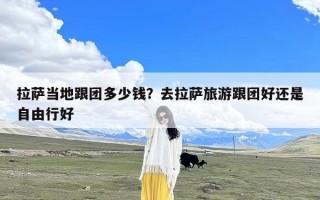 拉萨当地跟团多少钱？去拉萨旅游跟团好还是自由行好