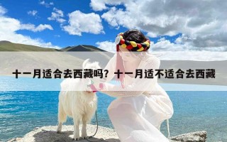 十一月适合去西藏吗？十一月适不适合去西藏