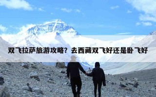 双飞拉萨旅游攻略？去西藏双飞好还是卧飞好
