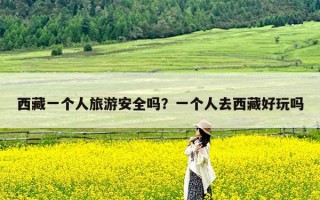 西藏一个人旅游安全吗？一个人去西藏好玩吗