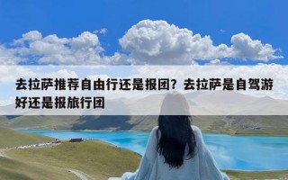 去拉萨推荐自由行还是报团？去拉萨是自驾游好还是报旅行团