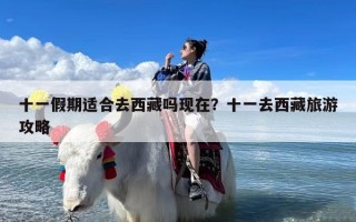 十一假期适合去西藏吗现在？十一去西藏旅游攻略