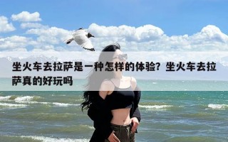 坐火车去拉萨是一种怎样的体验？坐火车去拉萨真的好玩吗