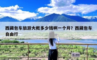 西藏包车旅游大概多少钱啊一个月？西藏包车自由行