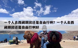 一个人去西藏跟团还是自由行啊？一个人去西藏跟团还是自由行啊好