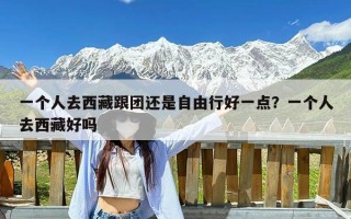 一个人去西藏跟团还是自由行好一点？一个人去西藏好吗