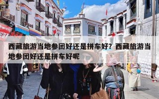 西藏旅游当地参团好还是拼车好？西藏旅游当地参团好还是拼车好呢