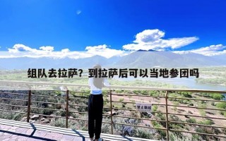 组队去拉萨？到拉萨后可以当地参团吗