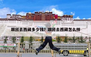 跟团去西藏多少钱？跟团去西藏怎么样