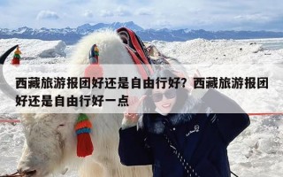 西藏旅游报团好还是自由行好？西藏旅游报团好还是自由行好一点