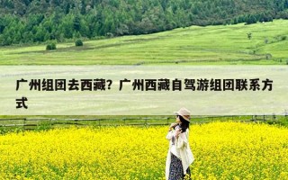 广州组团去西藏？广州西藏自驾游组团联系方式