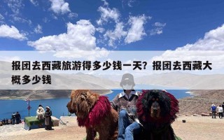 报团去西藏旅游得多少钱一天？报团去西藏大概多少钱