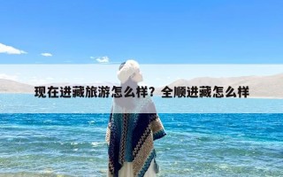 现在进藏旅游怎么样？全顺进藏怎么样