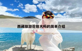 西藏旅游花销大吗的简单介绍