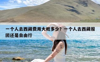 一个人去西藏费用大概多少？一个人去西藏报团还是自由行