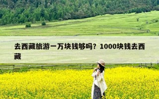 去西藏旅游一万块钱够吗？1000块钱去西藏