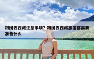 跟团去西藏注意事项？跟团去西藏旅游都需要准备什么