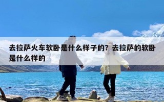 去拉萨火车软卧是什么样子的？去拉萨的软卧是什么样的