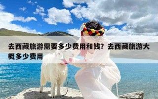 去西藏旅游需要多少费用和钱？去西藏旅游大概多少费用