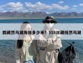 西藏然乌湖海拔多少米？318川藏线然乌湖