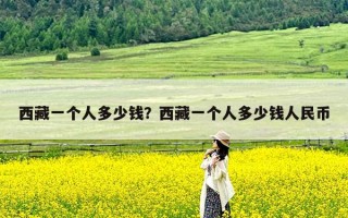 西藏一个人多少钱？西藏一个人多少钱人民币