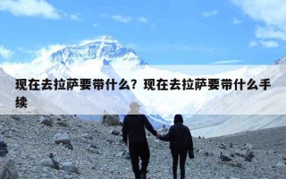 现在去拉萨要带什么？现在去拉萨要带什么手续