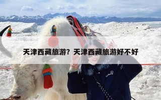 天津西藏旅游？天津西藏旅游好不好