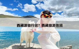 西藏游旅行团？西藏旅游包团