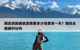跟团到西藏旅游需要多少钱费用一年？跟团去西藏好玩吗